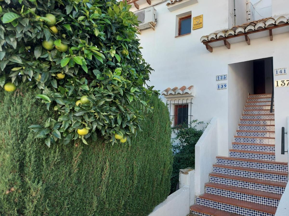 Bebi Casa Apartment Torrevieja Zewnętrze zdjęcie