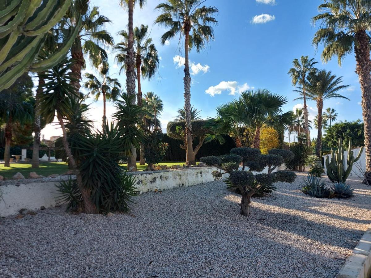 Bebi Casa Apartment Torrevieja Zewnętrze zdjęcie